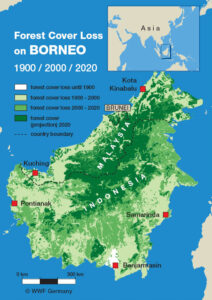 Deforestation rate because of palm oil in Borneo Malaysia