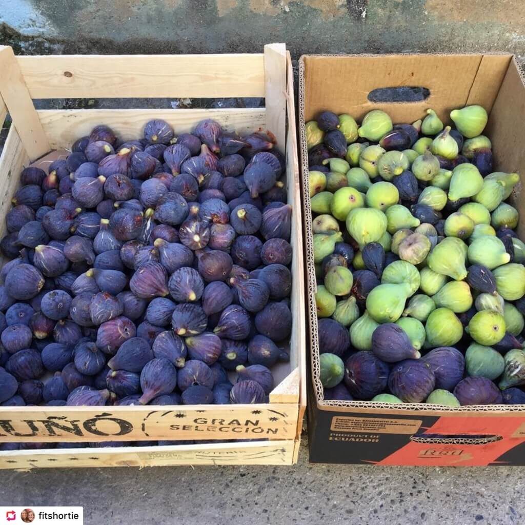 A box of delicous tree-ripened figs. There were the regular purple ones but also the green figs. Both perfect fruitarian food!